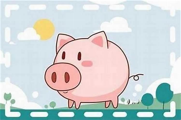 95年的猪今年的运程