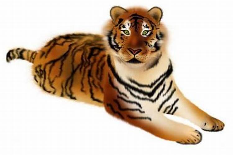 属虎的9月9号运势如何？