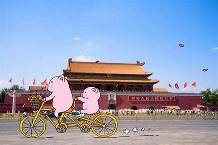 九月初九出生的猪宝宝名字