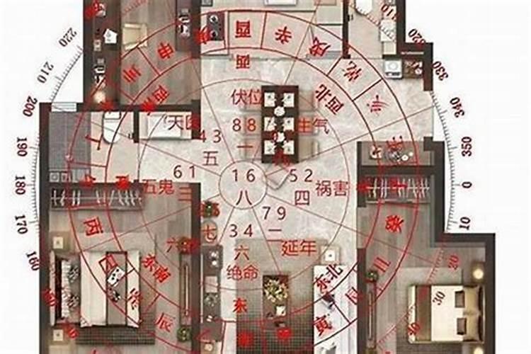 阳宅最快的发财的风水布局