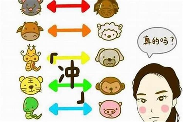 八字不合有哪些生肖？