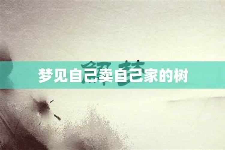 梦见卖树是什么意思？