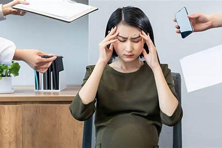 梦见单位同事怀孕了