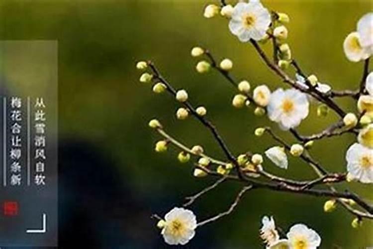 立春犯太岁是什么意思？