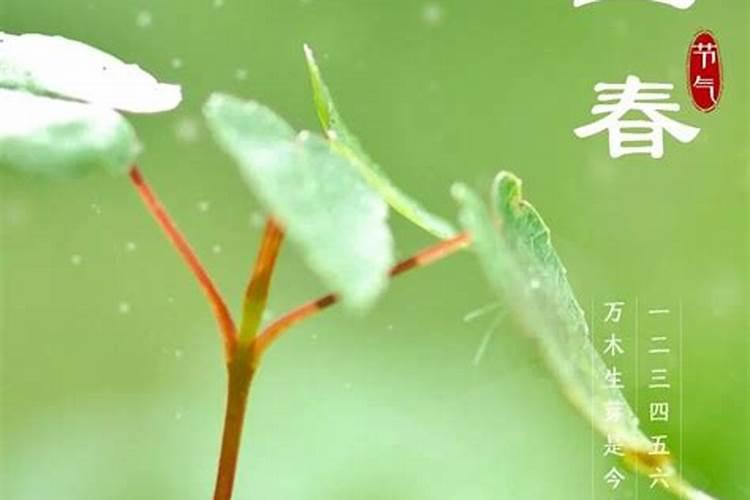 立春的含义及来历