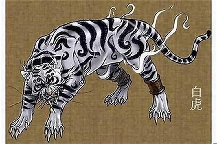 老虎犯太岁是哪一年？