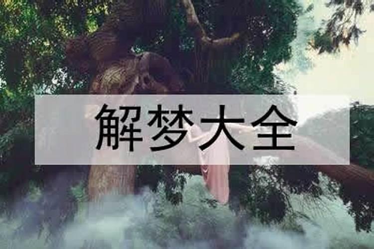 连续几天梦见前女友代表什么？