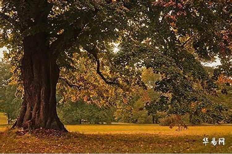 冬至子时出生的孩子好吗？