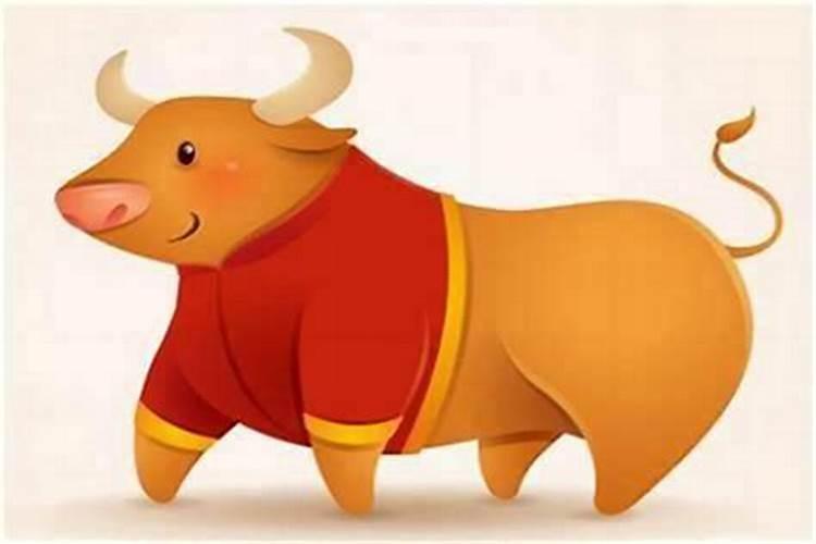 女虎男牛属相婚配财运好吗？