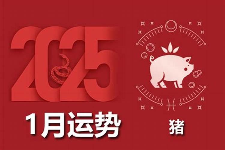 属猪精准2026年运程