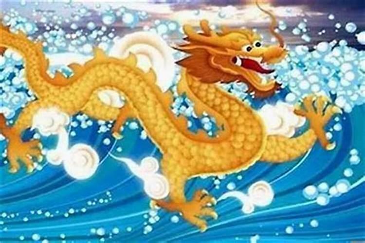 88属龙的今年运势如何？