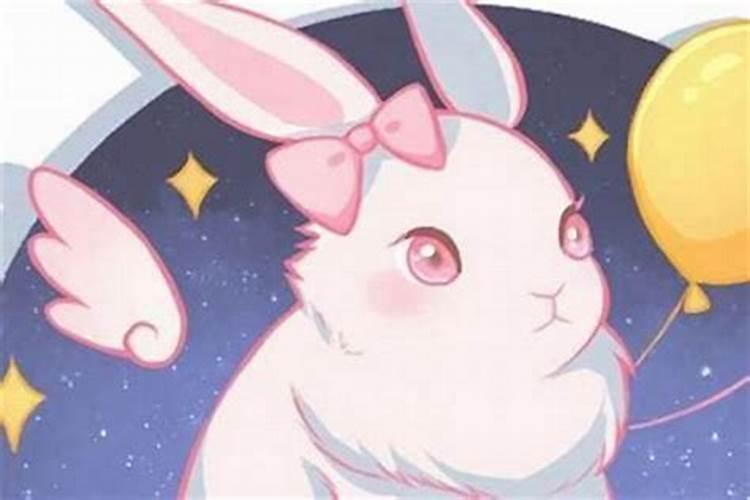 属兔属猴八字合吗？