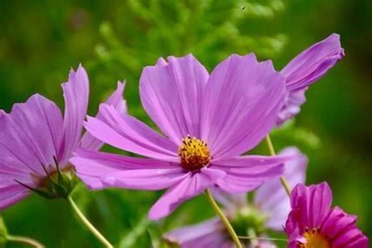 为什么今年运气差到极点？