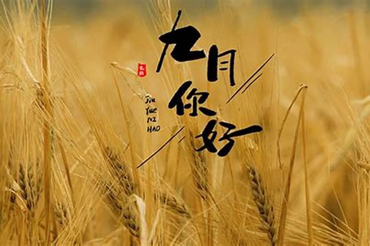 出生在阴历九月初九