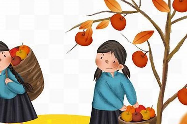 秋分节气出生的女孩命运