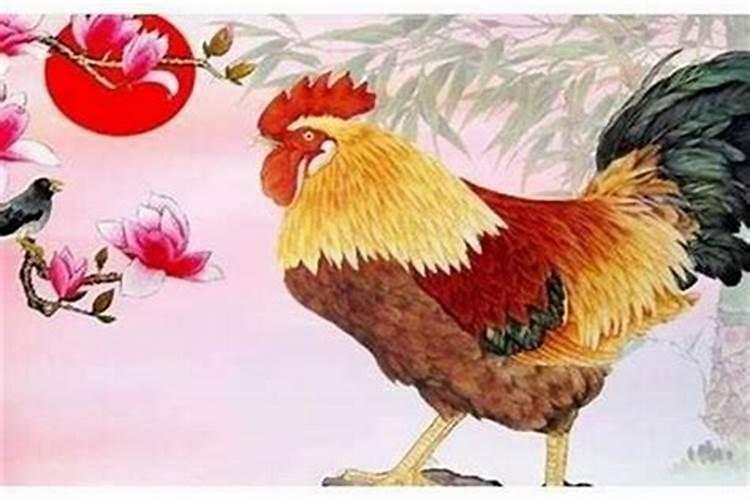 1980年属鸡今年运势如何？