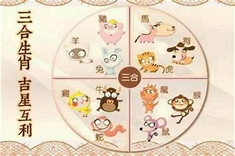 生肖鼠和生肖马合婚吗？