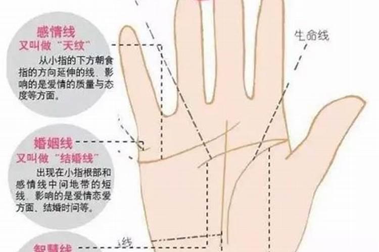手掌纹路什么运势？
