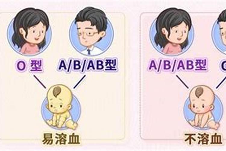 八字不合星座不合血型不合