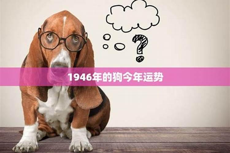 1946年生今年的运程