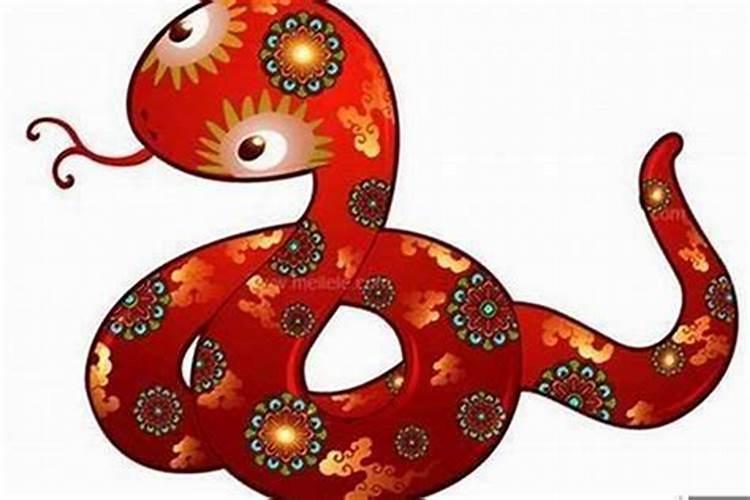 属蛇的今天犯太岁吗怎么办？