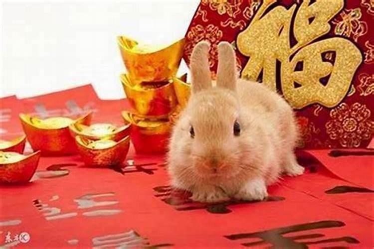 75年出生属兔10月运势如何？