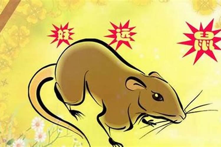 2026属鼠人农历十一月运程如何？