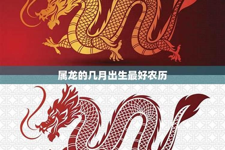 属龙的农历10月出生运程