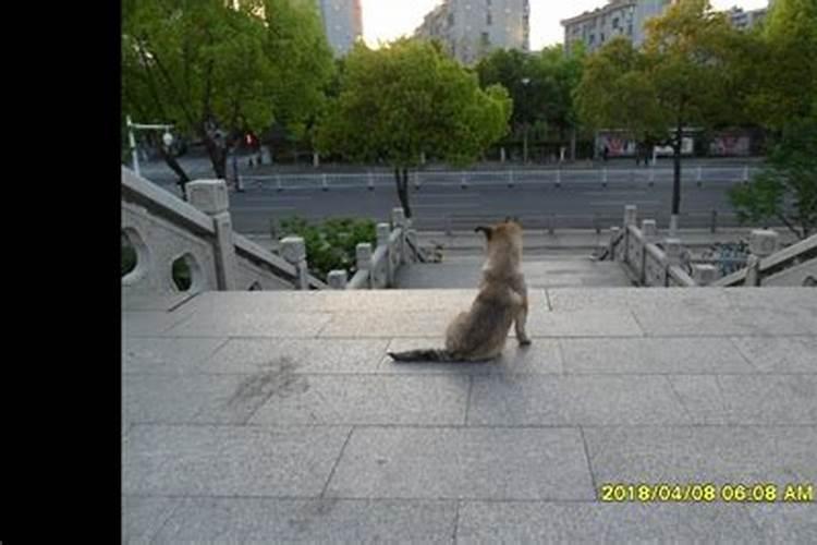 农历庚子年腊月13日