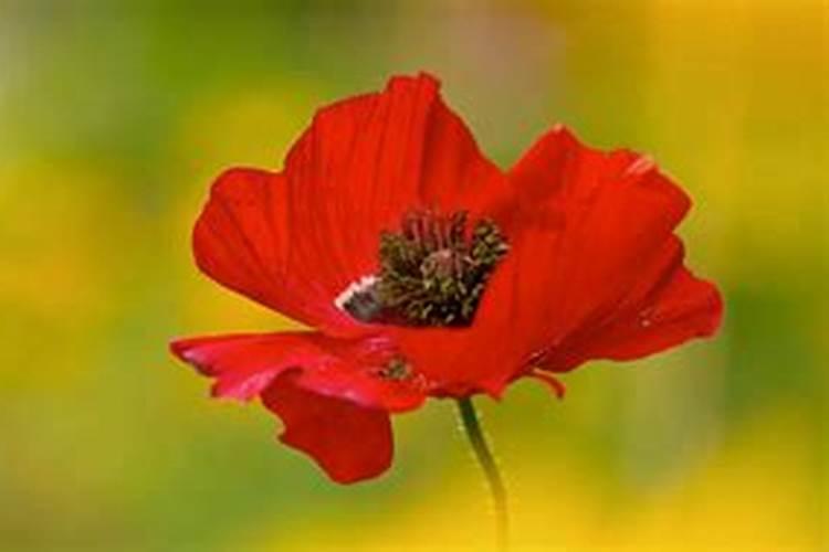 婚姻算最准的大师