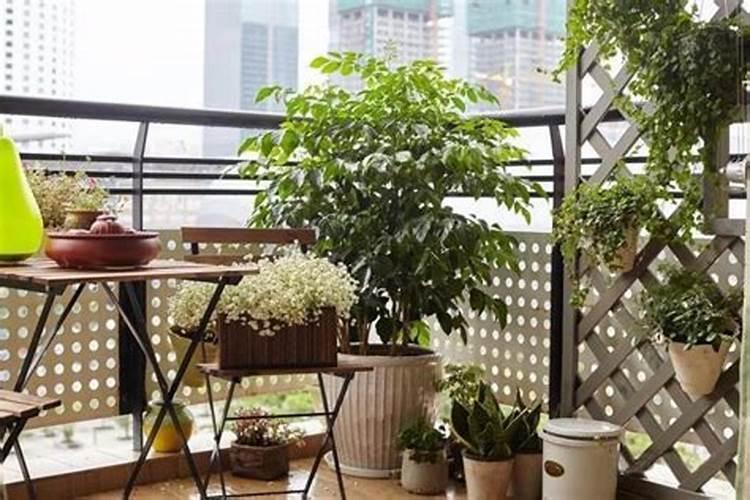 事业坎坷怎么化解小妙招？