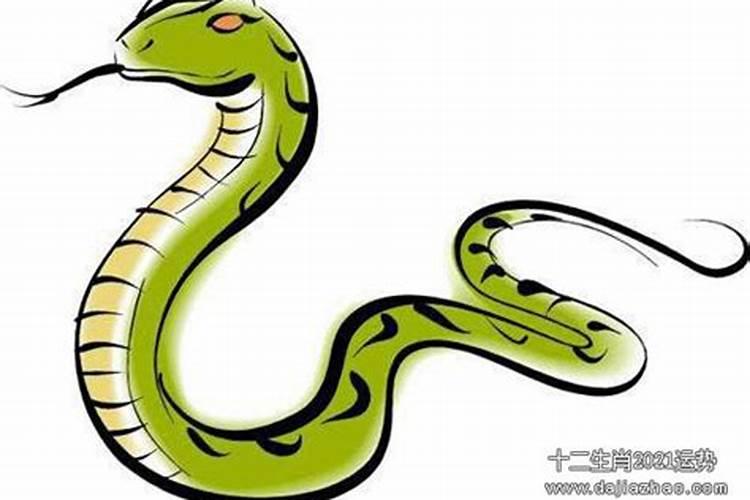 32岁蛇女在2026年运程