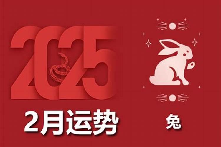 生肖兔2026年每月运势