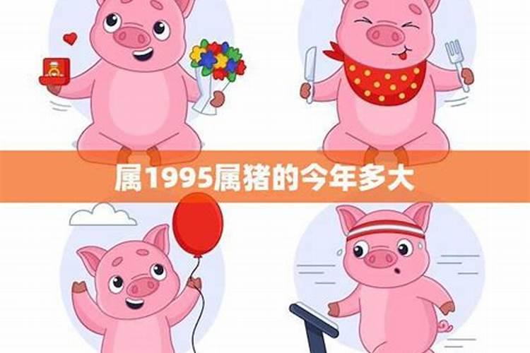 95年属猪今年四月运势