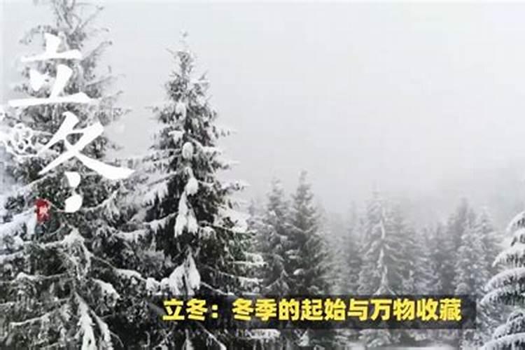 立冬是大运转换的开始吗？