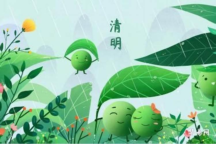 清明节怀孕冬至出生