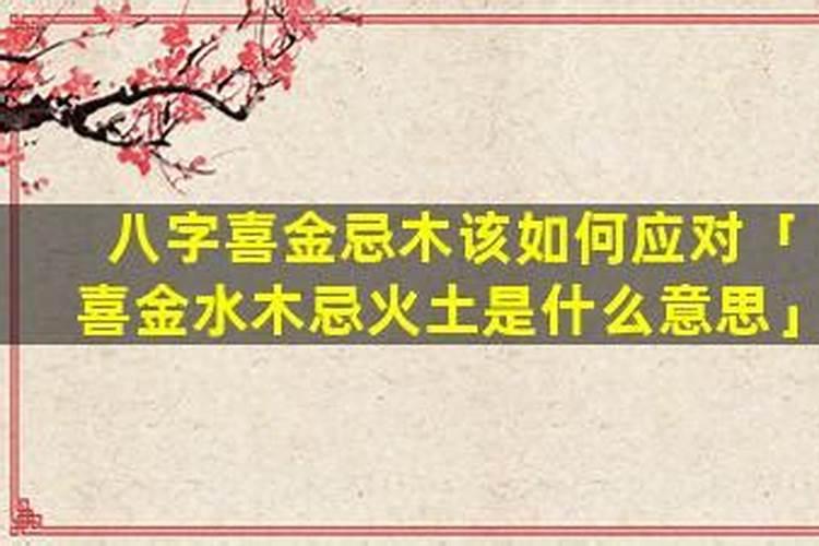 八字喜水木什么意思？