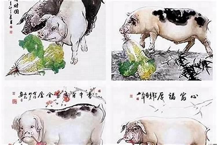 木牛和金猪合婚吗？