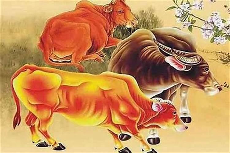 属相牛可以跟属相虎婚配吗？