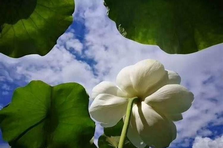 还阴债什么时候还？