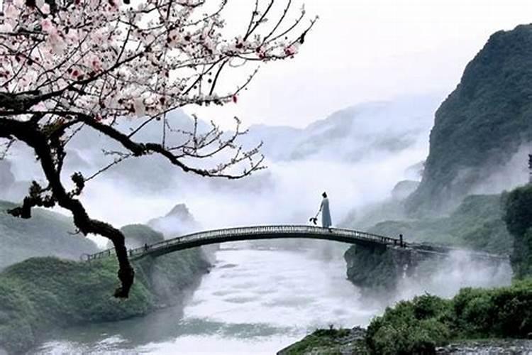 丙申日柱看2026年运程