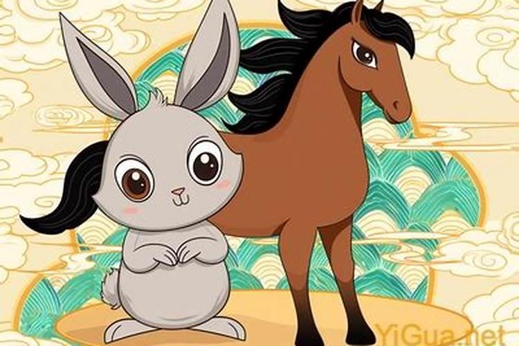 属兔属马合婚吗？
