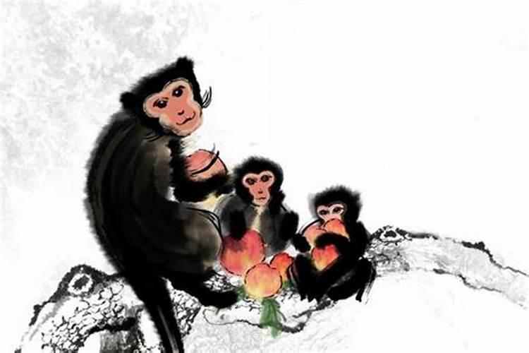 82年猴的一生运势