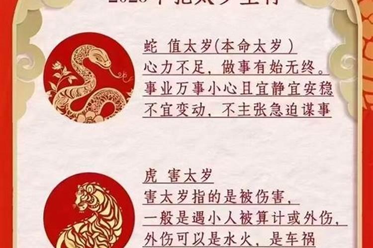 犯太岁怎么办正确应对生肖？