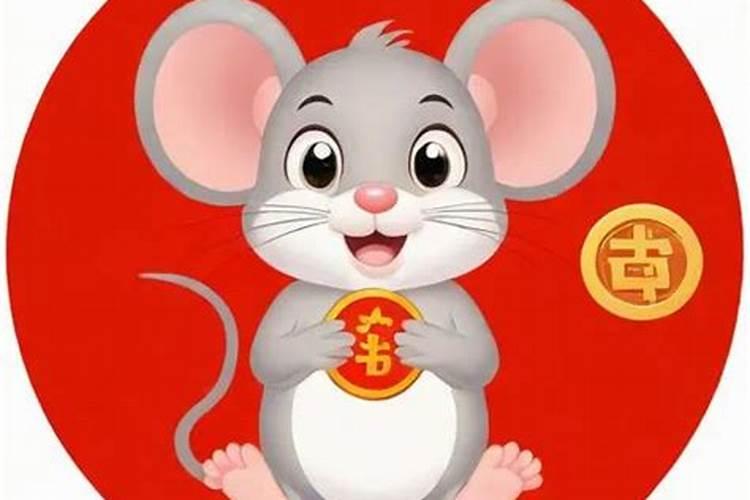 属鼠今年5月运程