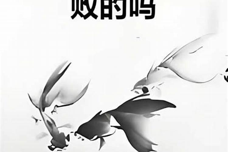 十八岁哪年算我婚姻失败？