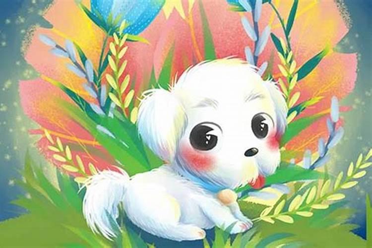 鼠年属狗的运程可以吗？