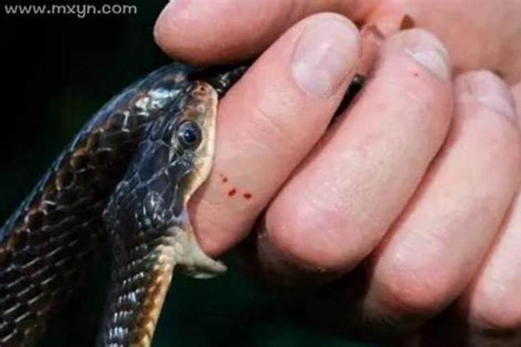 梦见蛇在攻击自己被吓醒