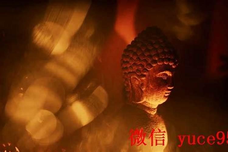 属猪和虎八字合吗？