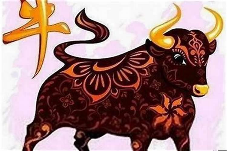 狗年属鸡的如何改变运势？